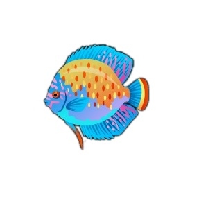 Parrotfish Discus